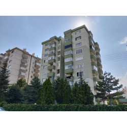 tirnak #1