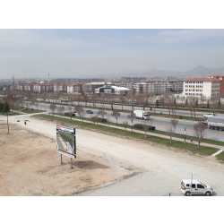 tirnak #1