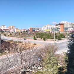 tirnak #1