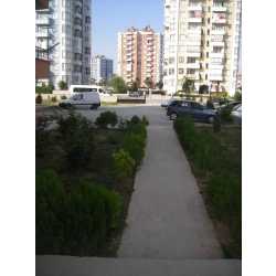 tirnak #1