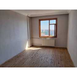 tirnak #1