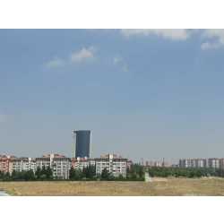 tirnak #1